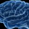 ¿Qué es la encefalitis viral aguda (encefalitis primaria)?